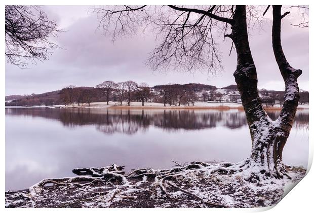 Snow and reflections on Esthwaite Water at dawn. C Print by Liam Grant