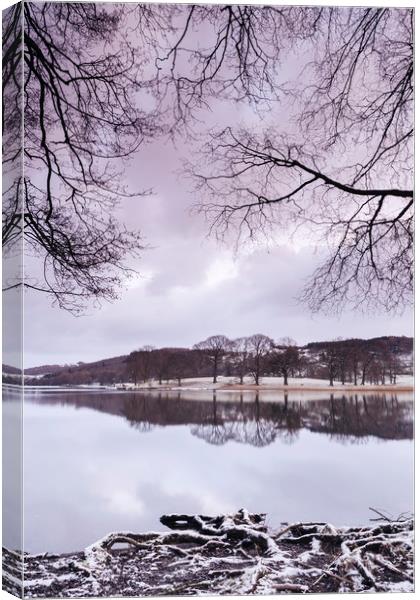 Snow and reflections on Esthwaite Water at dawn. C Canvas Print by Liam Grant