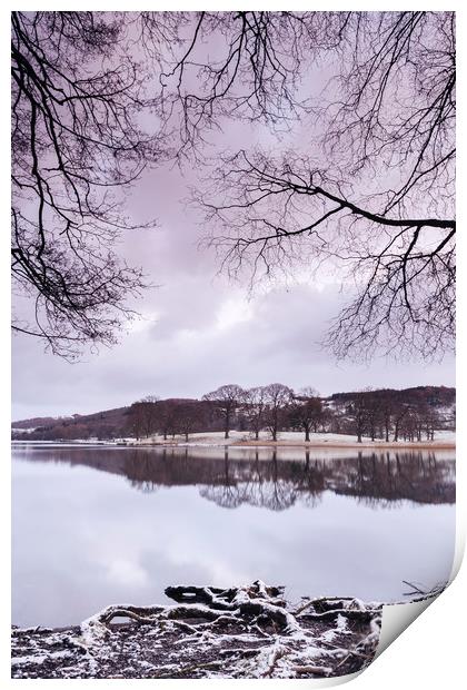 Snow and reflections on Esthwaite Water at dawn. C Print by Liam Grant