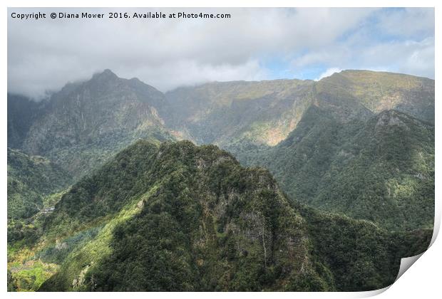 Balcoes Belvedere, Madeira  Print by Diana Mower