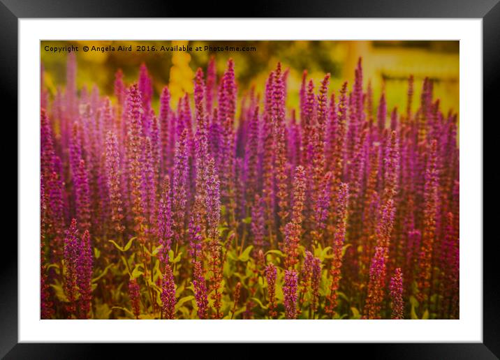 Standing Tall Framed Mounted Print by Angela Aird