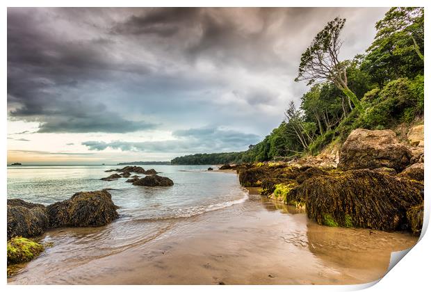 Horestone Point Priory Bay Print by Wight Landscapes