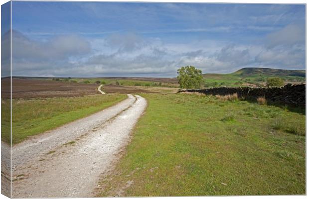 The road to nowhere; or somewhere? Canvas Print by Stephen Prosser