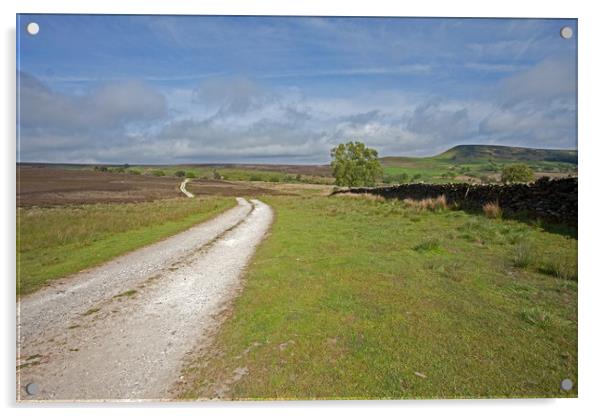 The road to nowhere; or somewhere? Acrylic by Stephen Prosser