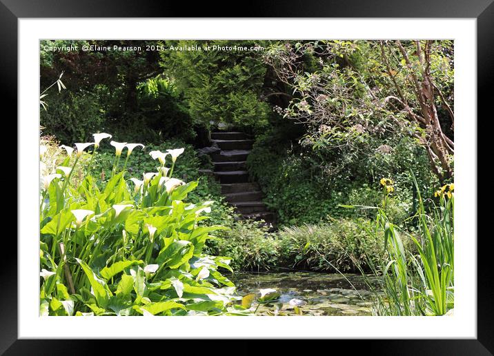 The secret stairs Framed Mounted Print by Elaine Pearson