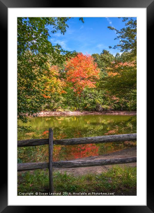 Autumnal colours Framed Mounted Print by Susan Leonard