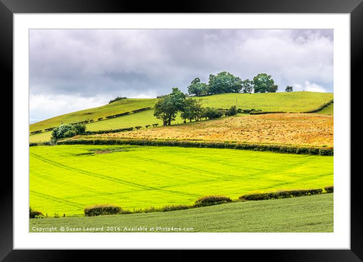 Green fields of Wales Framed Mounted Print by Susan Leonard