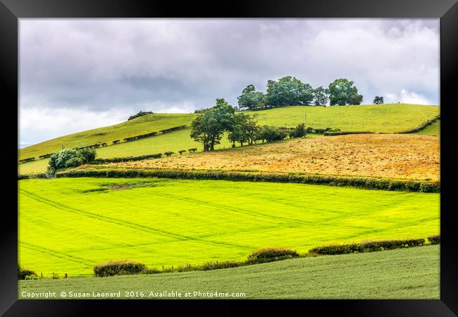 Green fields of Wales Framed Print by Susan Leonard