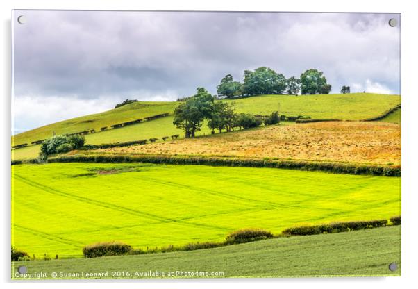 Green fields of Wales Acrylic by Susan Leonard
