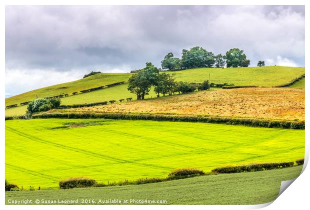 Green fields of Wales Print by Susan Leonard