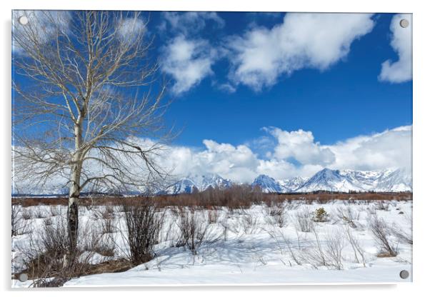 Grand Tetons from Willow Flats with a Tree Acrylic by Belinda Greb