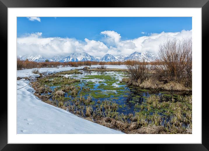 Grand Tetons from Willow Flats in Early April Framed Mounted Print by Belinda Greb