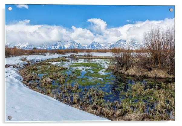Grand Tetons from Willow Flats in Early April Acrylic by Belinda Greb