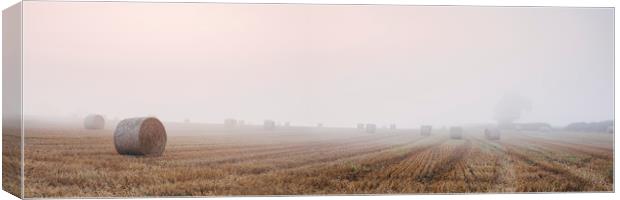 Round bales in a stubble field bound with fog at d Canvas Print by Liam Grant