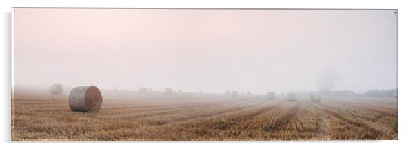 Round bales in a stubble field bound with fog at d Acrylic by Liam Grant