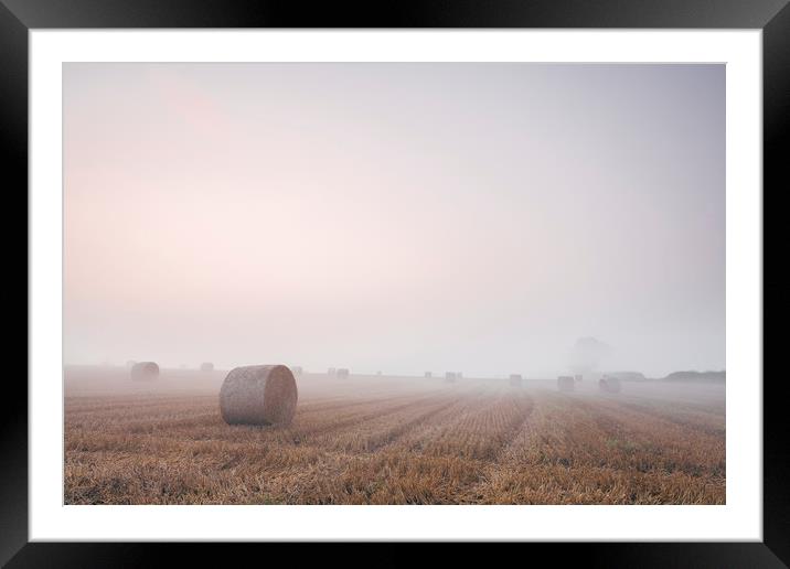 Round bales in a stubble field bound with fog at d Framed Mounted Print by Liam Grant