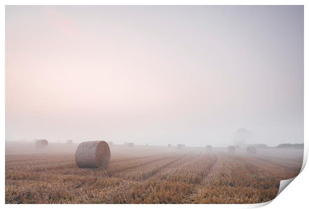 Round bales in a stubble field bound with fog at d Print by Liam Grant