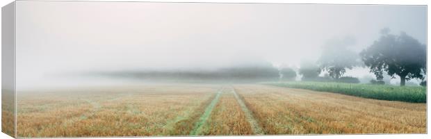 Dense fog over a stubble field at dawn. Norfolk, U Canvas Print by Liam Grant