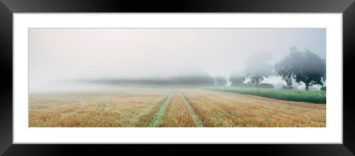 Dense fog over a stubble field at dawn. Norfolk, U Framed Mounted Print by Liam Grant