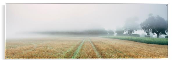 Dense fog over a stubble field at dawn. Norfolk, U Acrylic by Liam Grant