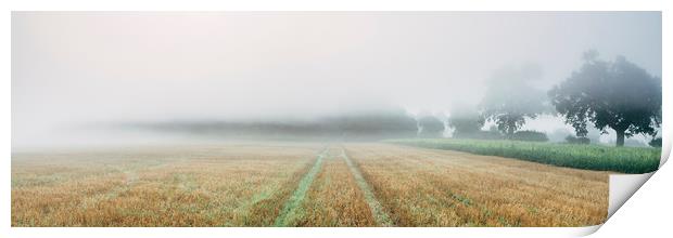 Dense fog over a stubble field at dawn. Norfolk, U Print by Liam Grant