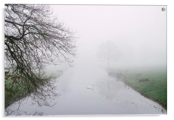 Swan on a river in fog. Norfolk, UK. Acrylic by Liam Grant