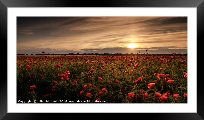 Poppy field at sunset Framed Mounted Print by Julian Mitchell