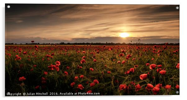 Poppy field at sunset Acrylic by Julian Mitchell