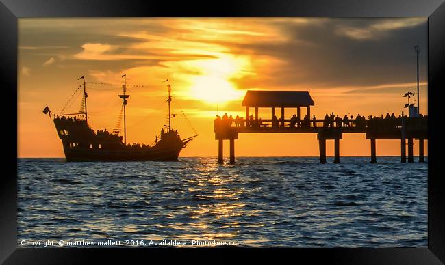 Saling Into The Sunset At Clearwater Beach Framed Print by matthew  mallett