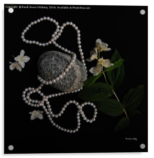 Jasmine and Pearls Acrylic by Randi Grace Nilsberg