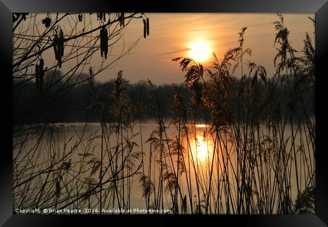 Sunset at Brimpton Lakes Berkshire Framed Print by Brian Pearce