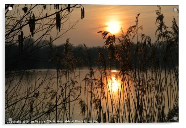 Sunset at Brimpton Lakes Berkshire Acrylic by Brian Pearce