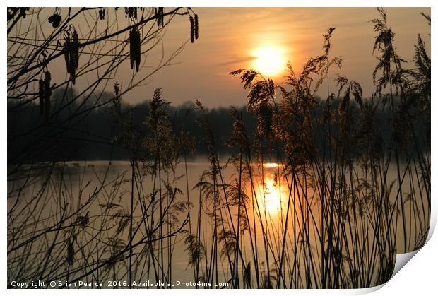 Sunset at Brimpton Lakes Berkshire Print by Brian Pearce
