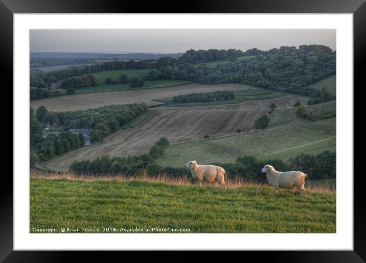 Landscape with sheep Framed Mounted Print by Brian Pearce
