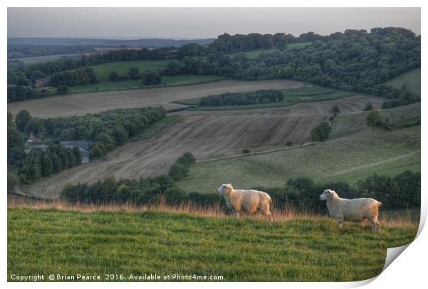 Landscape with sheep Print by Brian Pearce