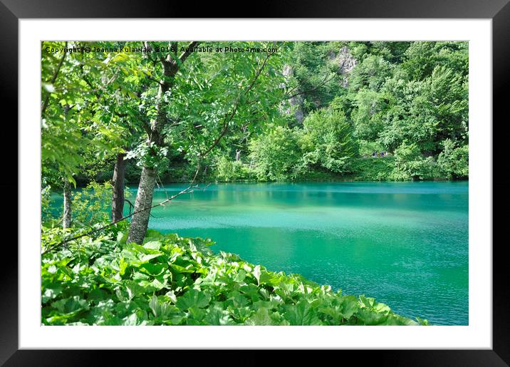 Plitvice Lakes National Park in Croatia Framed Mounted Print by Joanna Kulawiak