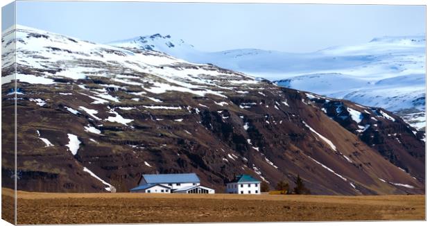 Living in Iceland Canvas Print by Svetlana Sewell