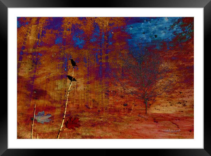 Starlings in the Woods Framed Mounted Print by Valerie Anne Kelly