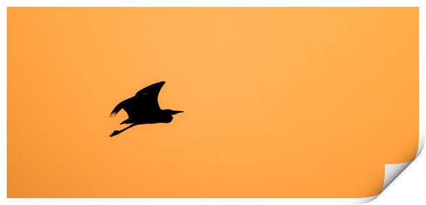 Heron Sunset Silhouette  Print by Nick Dyte