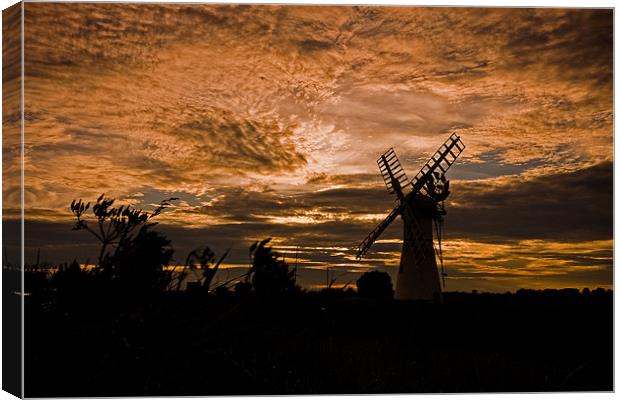 Thurne Dyke Mill Canvas Print by Roy Scrivener