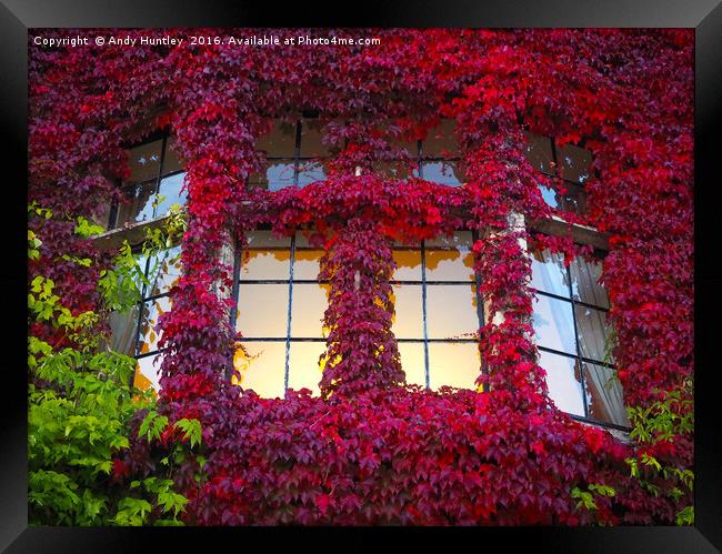 Ivy Window Framed Print by Andy Huntley