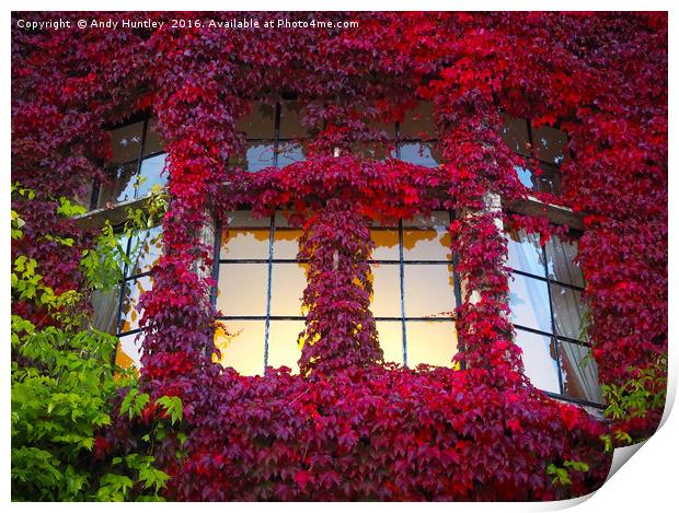 Ivy Window Print by Andy Huntley