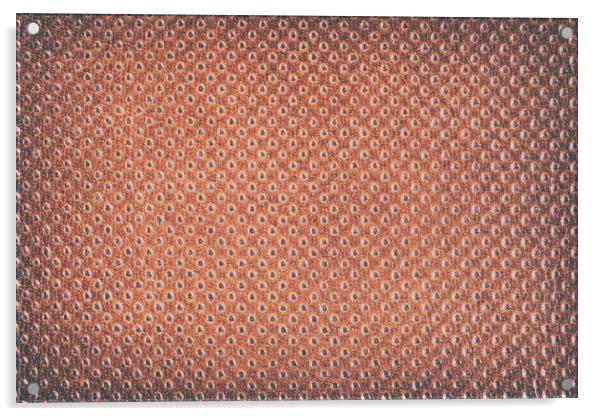 Vintage Natural Brown Leather Texture Background Acrylic by Radu Bercan