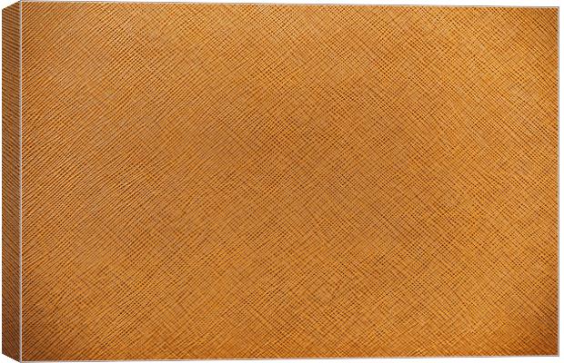 Vintage Natural Brown Leather Texture Background Canvas Print by Radu Bercan