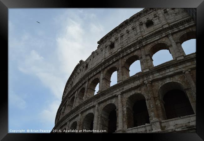 Colosseum Rome Framed Print by Brian Pearce