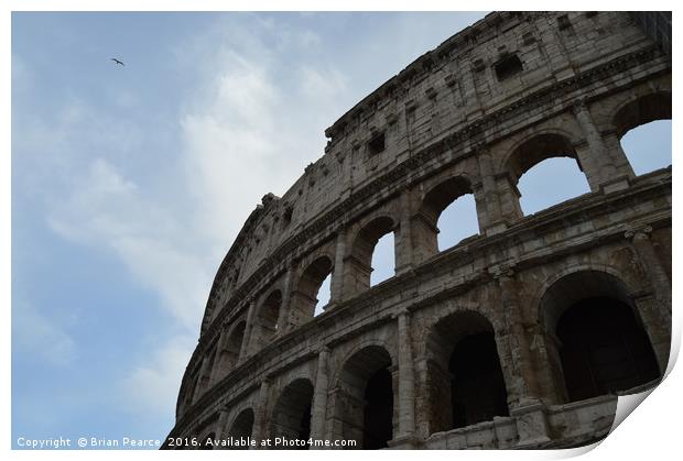 Colosseum Rome Print by Brian Pearce