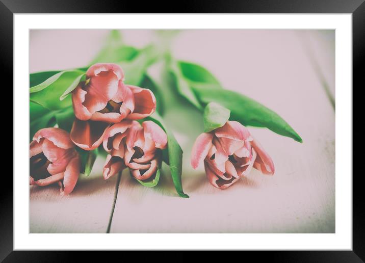 Red Spring Tulips On Wood Table Framed Mounted Print by Radu Bercan