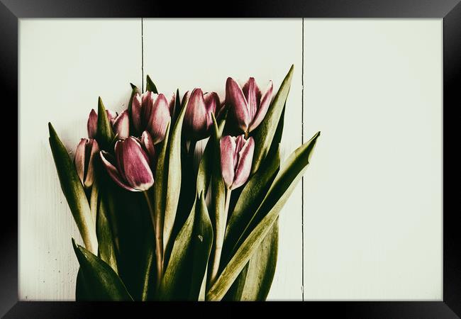Red Spring Tulips On Wood Table Framed Print by Radu Bercan