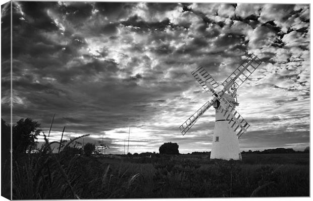 Thurne Mill in Black and White Canvas Print by Stephen Mole
