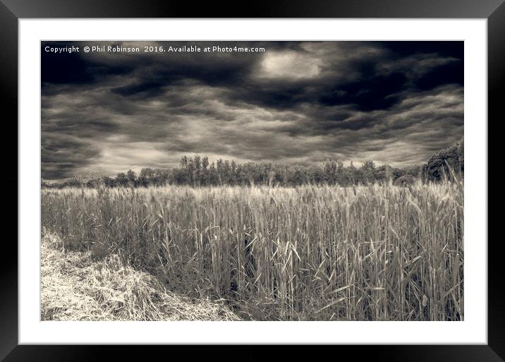 Drama in the fields  Framed Mounted Print by Phil Robinson